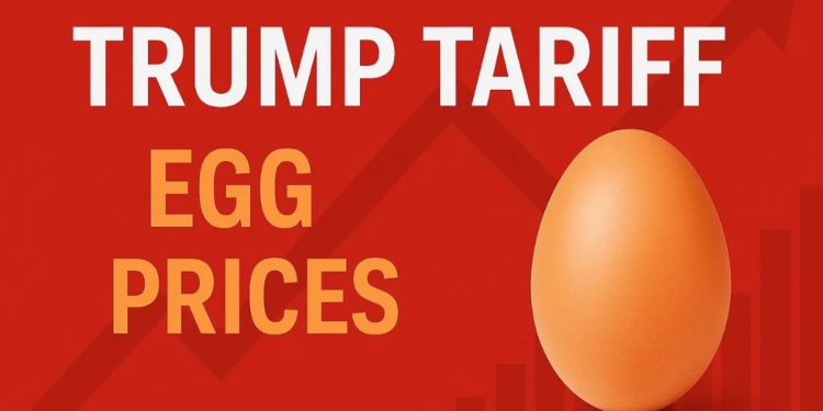 Egg Prices In US
