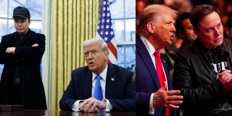 Trump Vs Elon Tariff