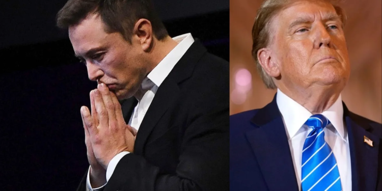 What is Elon Musk's Next Step